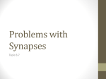 Problems with synapses File