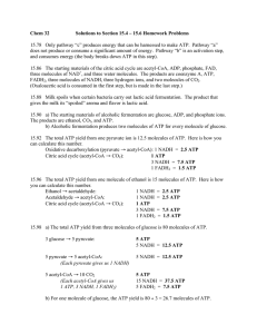 Chem 32 Solutions to Section 15.4 – 15.6 Homework Problems