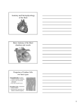 Anatomy and Electrophysiology of the Heart Basic Anatomy of the