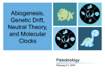 Abiogenesis, Genetic Drift, Neutral Theory, and Molecular Clocks