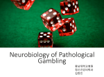 Neurobiology of pathological gambling