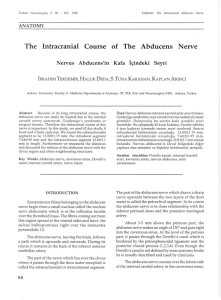 The Intracranial Course of The Abducens Nerve