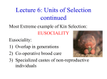 Lecture 6: Units of Selection cont`d