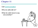 Ch 11 - cell communication
