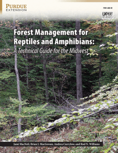 Forest Management for Reptiles and Amphibians