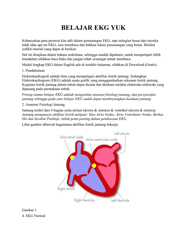 Unduh 91 Gambar Gelombang Ekg Normal  