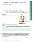 StudyGuideBioEvolution