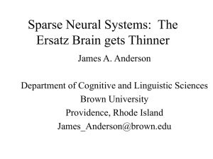 Sparse Neural Systems: The Ersatz Brain gets Thin