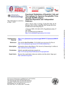 Pathways Molecule-Dependent and