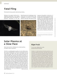 Fatal Fling Solar Plasma at a Slow Pace - Max-Planck