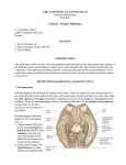 text - Systems Neuroscience Course, MEDS 371, Univ. Conn. Health