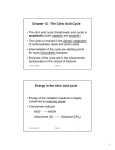 Chapter 12 - The Citric Acid Cycle Energy in the citric acid cycle