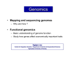 Functional genomics