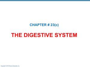 ch_23_lecture_outline_c