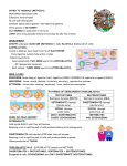 Introduction to Animals Notes