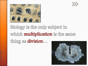 Students Mitosis 2011.ppt