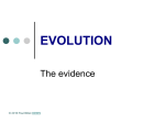Evolution : The Evidence