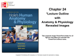 PowerPoint to accompany Hole`s Human Anatomy and Physiology