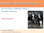 Detecting Mad Cow Disease