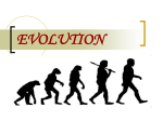 evolution - WordPress.com