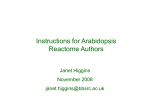 Powerpoint instructions for Arabidopsis Reactome authors