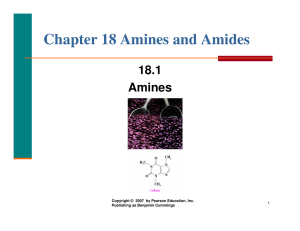 Chapter 18 Amines and Amides