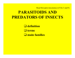 parasitoids and predators of insects