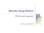 Microbot Drug Delivery