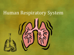 Physical Respiration PowerPoint SI File
