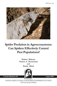 TB190: Spider Predation in Agroecosystems: Can Spiders