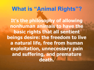 AR Philosophy - Animal Liberation Front