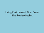 final review blue packet 2015