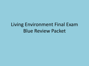 final review blue packet 2015