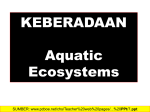 Chapter 7: Aquatic Ecosystems