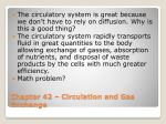 Chapter 42 – Circulation and Gas Exchange