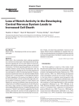 Loss of Notch Activity in the Developing Central Nervous System