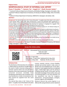 MORPHOLOGICAL STUDY OF INTERNAL ILIAC ARTERY