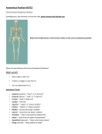 Anatomical Position NOTES
