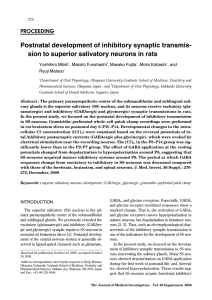 sion to superior salivatory neurons in rats