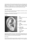 Tutorial 2 ANATOMY OF OUTER EAR