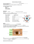 File - Coach Frei Science