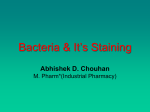 Bacteria - PharmaEuphoria