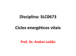 Disciplina: SLC0673 Ciclos energéticos vitais