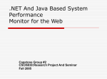 .NET And Java Based Performance Monitor for the Web