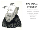 Evolution: Darwin*s Idea and Evidence
