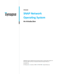SNAP Network Operating System - Synapse forums