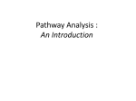 Pathway Analysis : An Introduction
