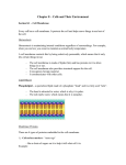 Chapter 8 Notes - Crestwood Local Schools