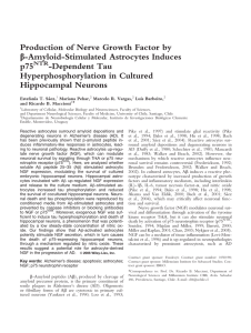 Production of nerve growth factor by