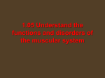 Muscular System: Functions